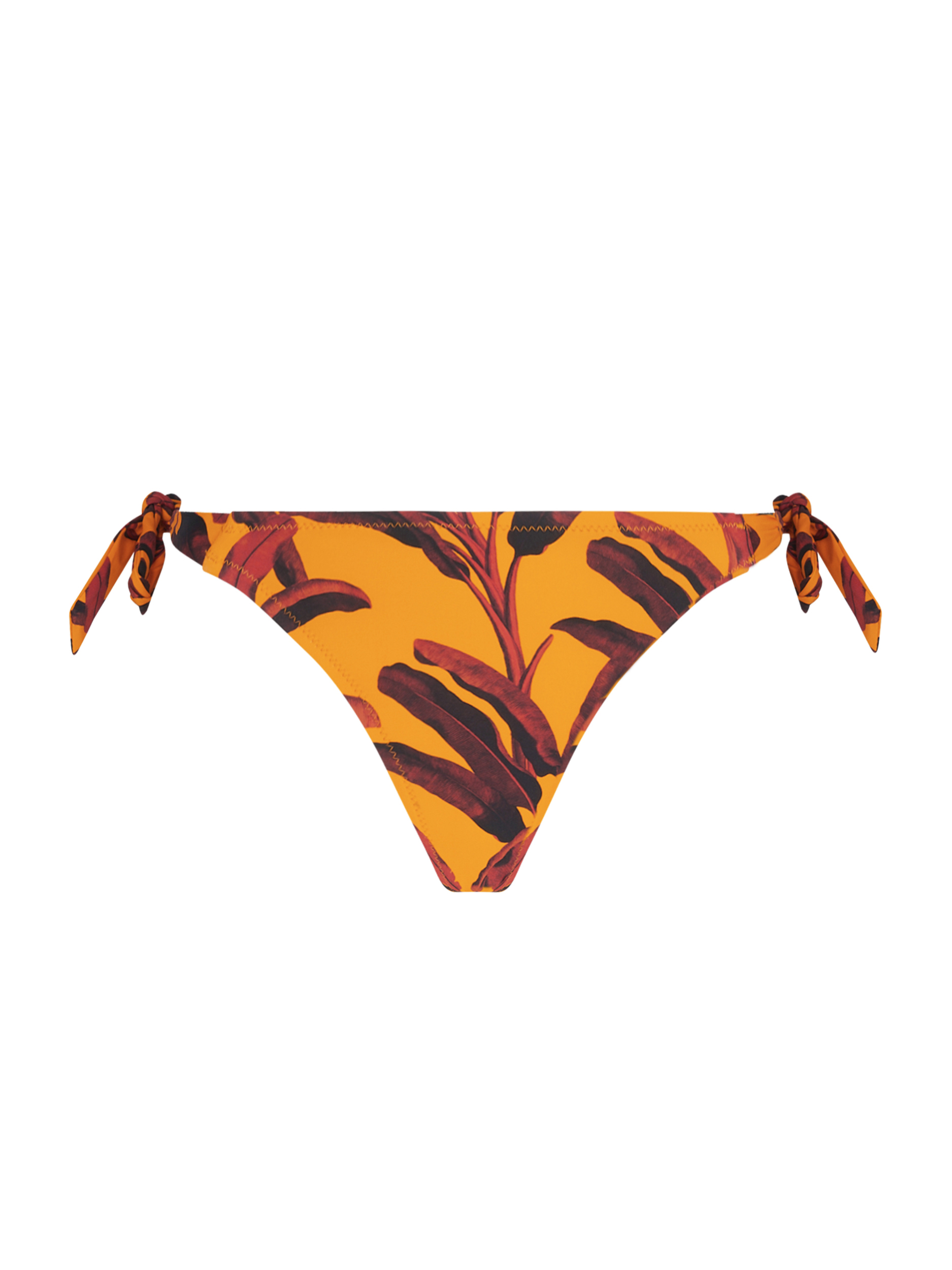 Slip bikini Antigel EBB0159 Giallo